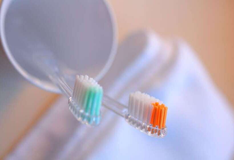 スーペリアールーム, Spa Hotel Alpina Hida Takayama