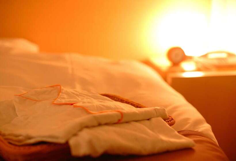 スタンダードルーム, Spa Hotel Alpina Hida Takayama