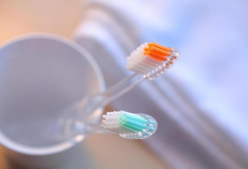 スタンダードルーム, Spa Hotel Alpina Hida Takayama