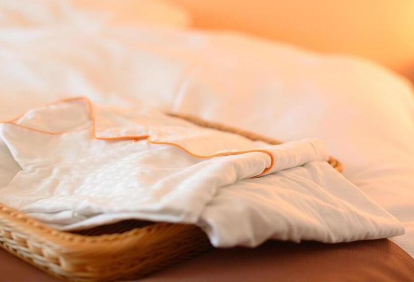 ダブルベッドのベーシックルーム, Spa Hotel Alpina Hida Takayama