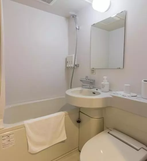 اتاق عادی با تخت دوبل, Spa Hotel Alpina Hida Takayama