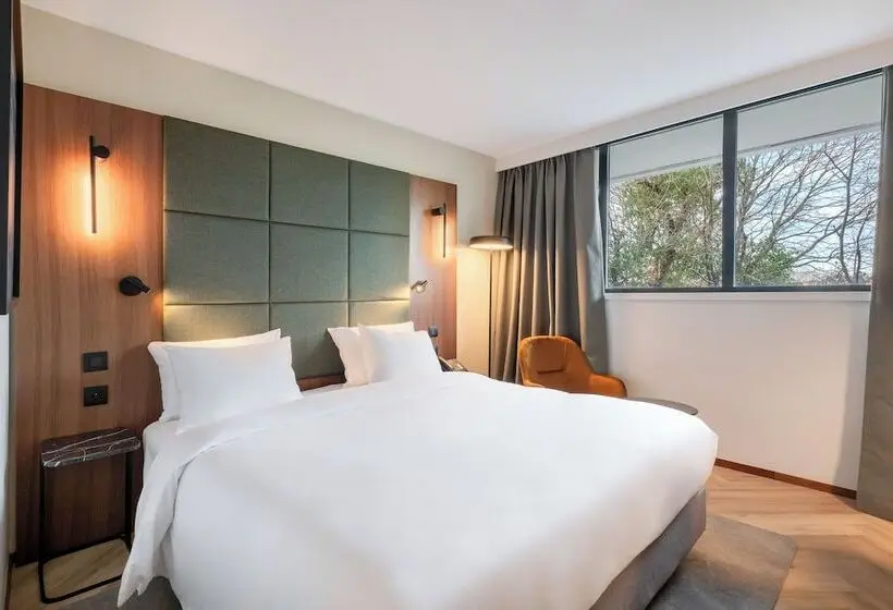 スタンダードルーム, Radisson Blu Hotel, Montpellier