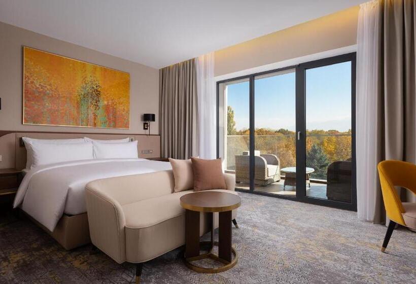디럭스 전망 룸, Swissôtel Wellness Resort Alatau Almaty