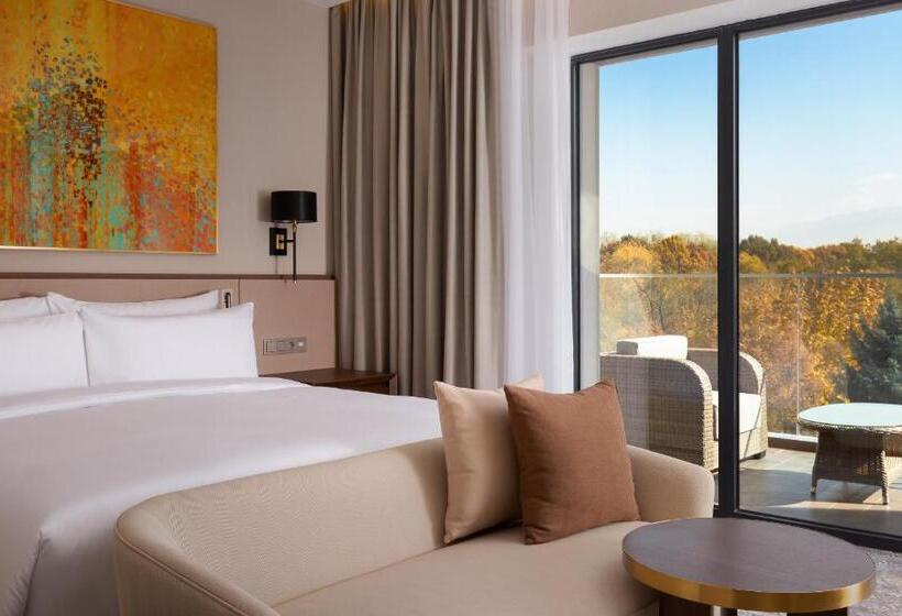 스탠다드 룸 킹사이즈 침대, Swissôtel Wellness Resort Alatau Almaty