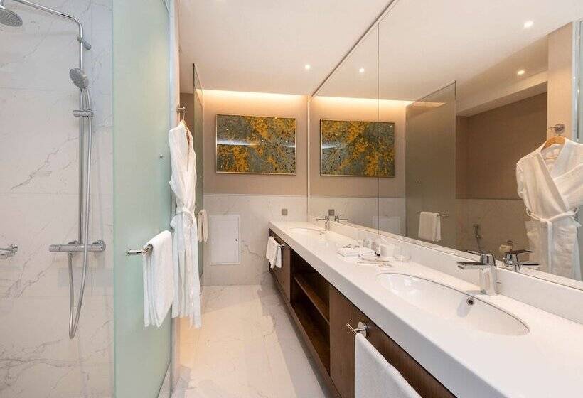 디럭스 룸 산전망, Swissôtel Wellness Resort Alatau Almaty