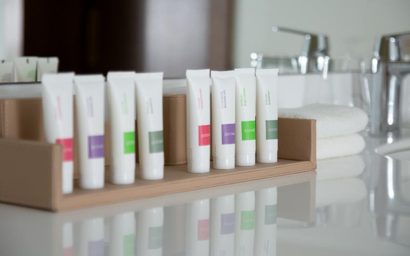 디럭스 룸 산전망, Swissôtel Wellness Resort Alatau Almaty