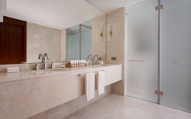 이그제큐티브 스위트, Swissôtel Wellness Resort Alatau Almaty