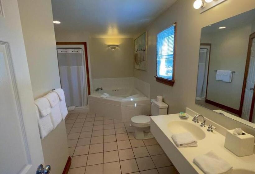 Люкс Вид на Бассейн, Pony Island Inn