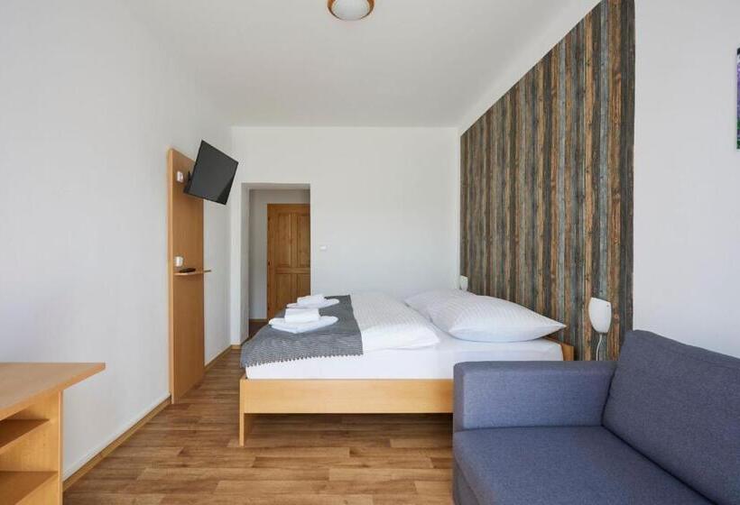 غرفة قياسية, Penzion Dobík Pasečná