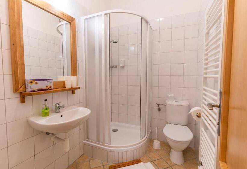 غرفة كمفورت مع بلكونة, Penzion Dobík Pasečná