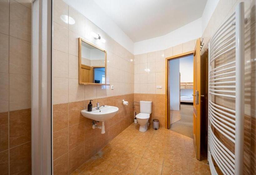 جناح كمفورت مع بلكونة, Penzion Dobík Pasečná