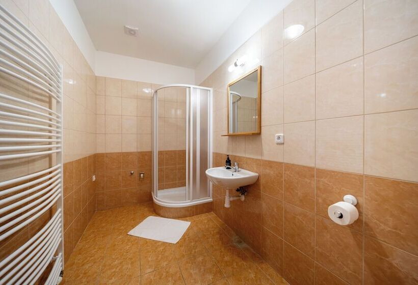 جناح كمفورت مع بلكونة, Penzion Dobík Pasečná