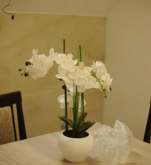 اتاق خانوادگی, Sobe_mis