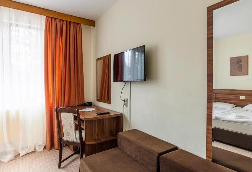 غرفة قياسية, Elina