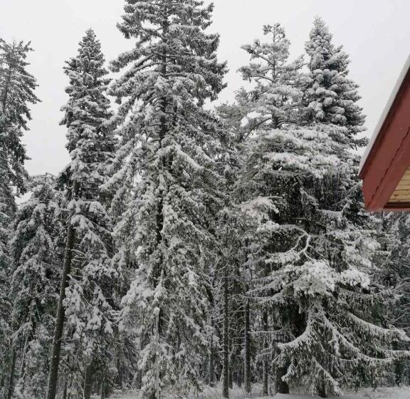 غرفة قياسية ثلاثية, Elina