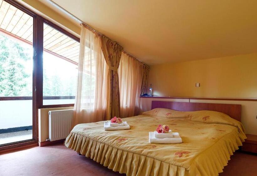 شقة غرفة واحدة, Elina