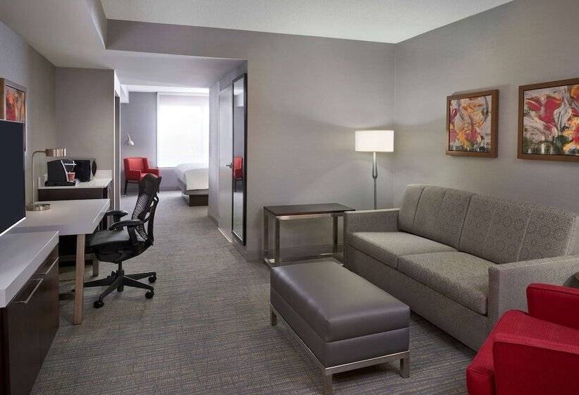 סוויטה, Hilton Garden Inn Toronto Airport West/mississauga