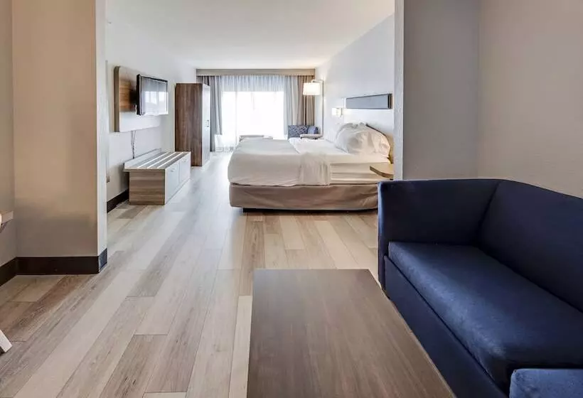 スイート, Holiday Inn Express Hotel & Suites Ohio State University  Osu Medical Center, An Ihg