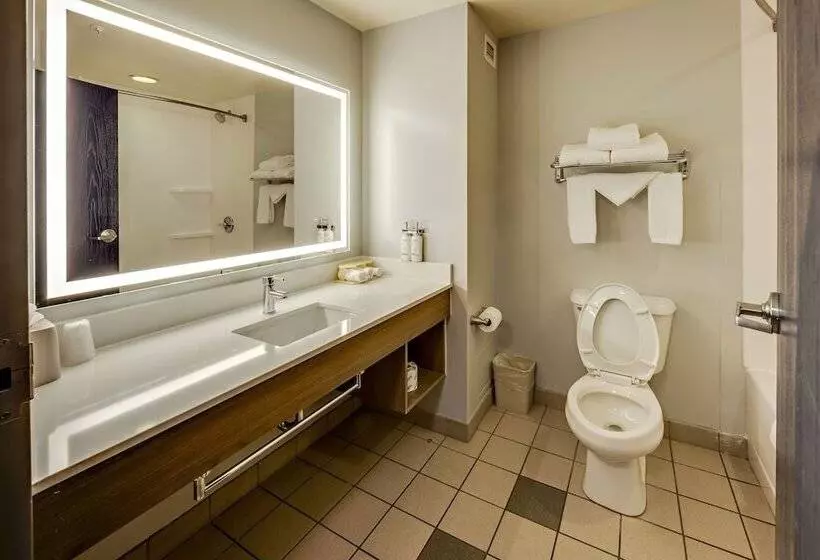 ２ダブルベッドのスタンダードルーム, Holiday Inn Express Hotel & Suites Ohio State University  Osu Medical Center, An Ihg