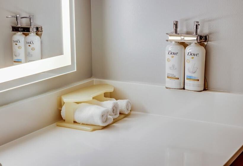 스탠다드 룸 더블 침대 2개, Holiday Inn Express Hotel & Suites Ohio State University  Osu Medical Center, An Ihg