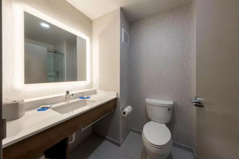 身障者適用キングサイズベッドルーム, Holiday Inn Express Hotel & Suites Petersburg/dinwiddie, An Ihg