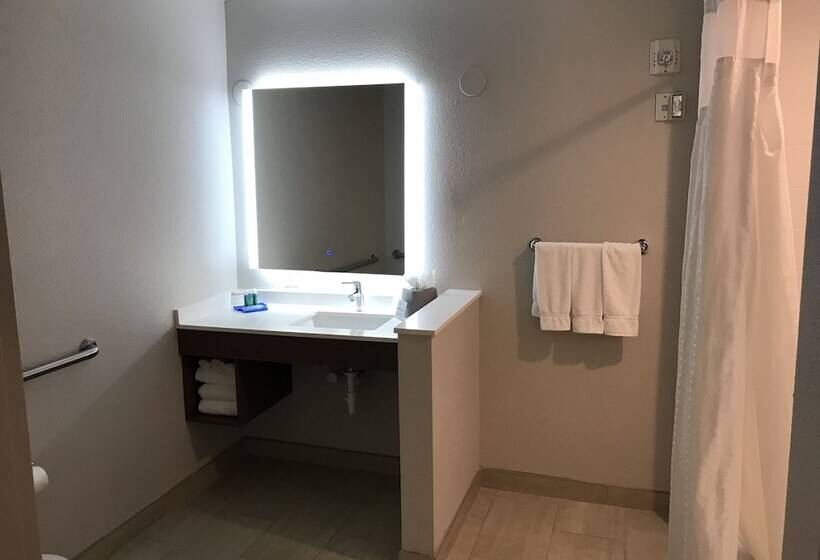 Quarto Estandar para Deficientes Físicos, Holiday Inn Express Orlando   South Davenport, An Ihg