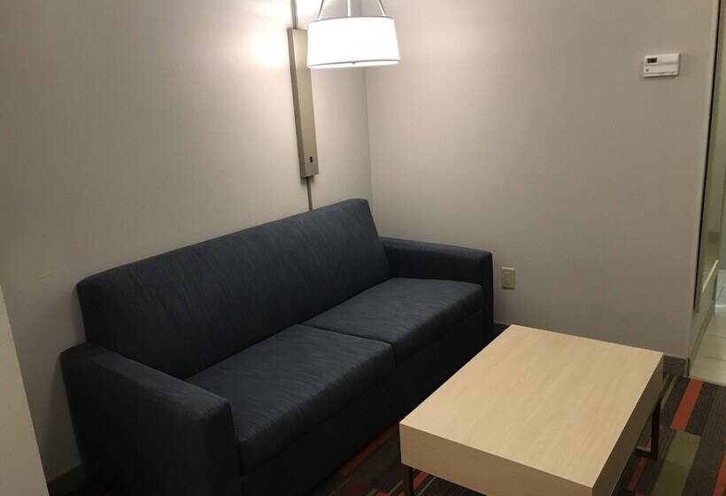 חדר סטנדרט, Holiday Inn Express Orlando   South Davenport, An Ihg