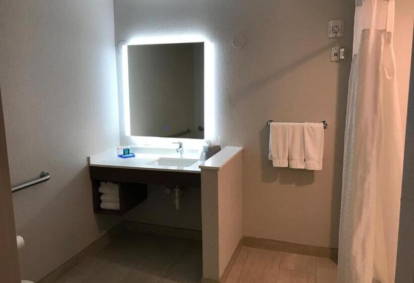 Quarto Estandar para Deficientes Físicos, Holiday Inn Express Orlando   South Davenport, An Ihg