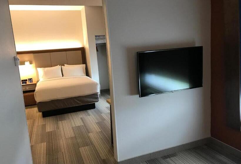 Quarto Deluxe, Holiday Inn Express Orlando   South Davenport, An Ihg
