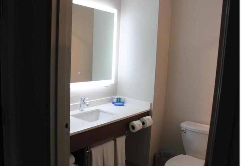 Quarto Estandar Cama King, Holiday Inn Express Orlando   South Davenport, An Ihg