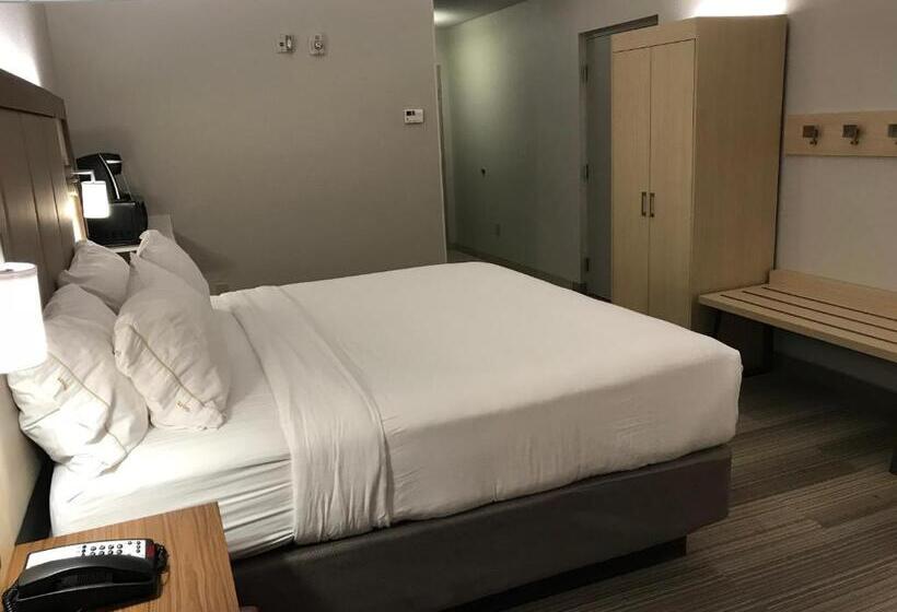 חדר סטנדרט, Holiday Inn Express Orlando   South Davenport, An Ihg