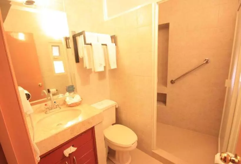 اتاق استاندارد با تخت بزرگ, La Casona De Don Lucas