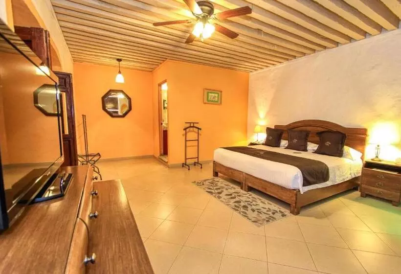 اتاق استاندارد با تخت بزرگ, La Casona De Don Lucas
