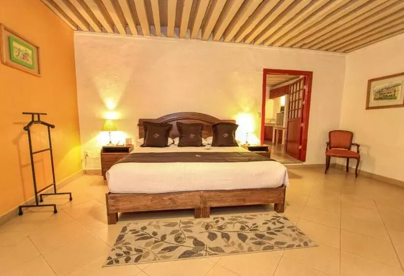 اتاق استاندارد با تخت بزرگ, La Casona De Don Lucas