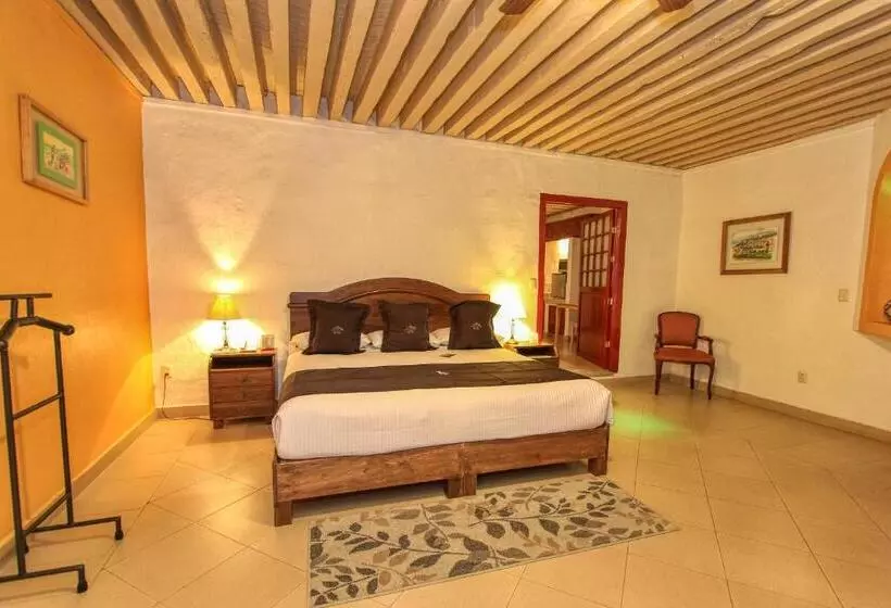 اتاق استاندارد با تخت بزرگ, La Casona De Don Lucas