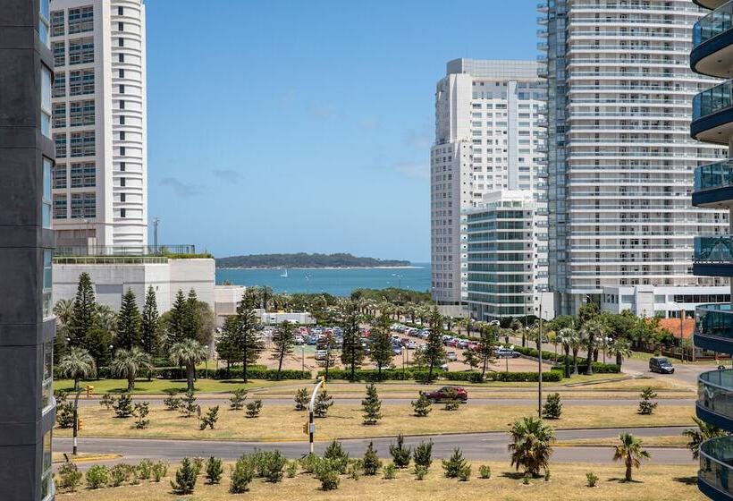 غرفة ديلوكس, Solerios