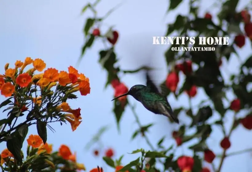 اتاق استاندارد یک نفره, Kentis Home Ollantaytambo