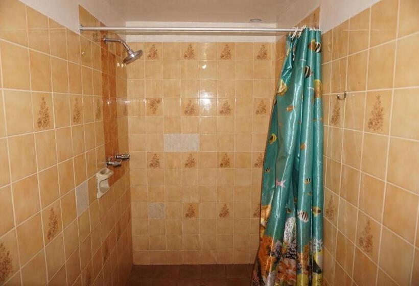 اتاق سوپریور, Big Mountain Hostel