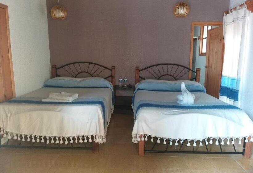 스탠다드 룸, De Las Flores