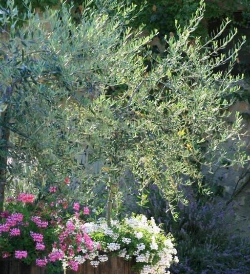 اتاق دوبلکس, San Lorenzo Della Rabatta