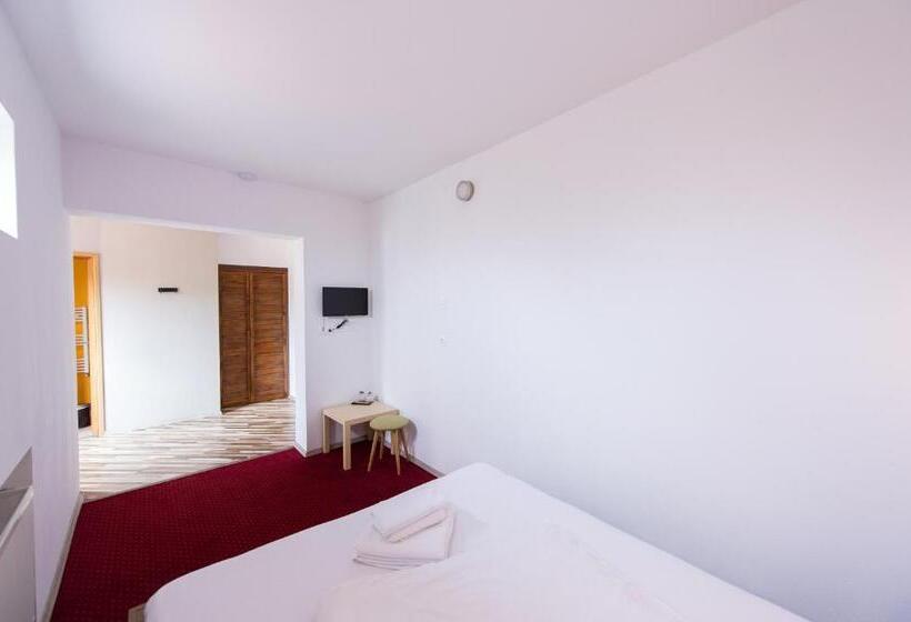 اتاق اکونومی یک تخته, Pensiunea Trip