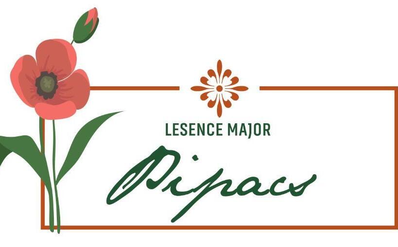 غرفة قياسية, Lesence Major