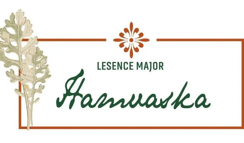 デラックスルーム, Lesence Major