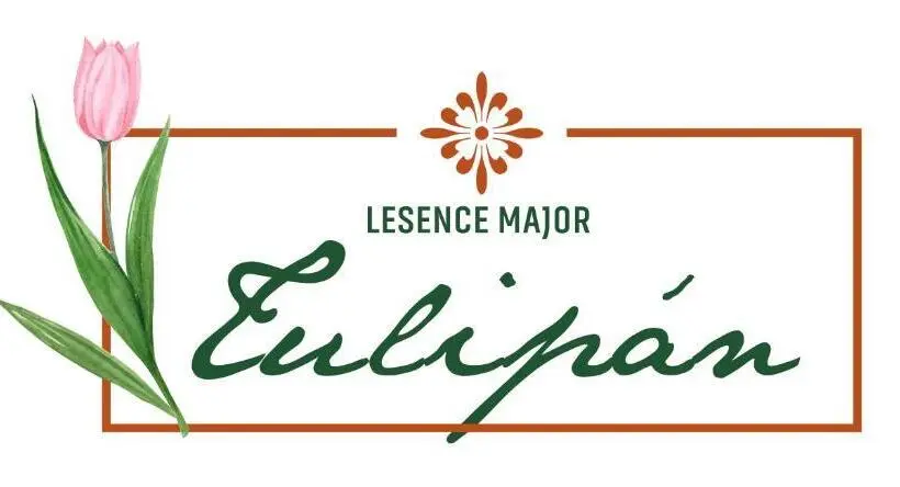 スタンダード４人部屋, Lesence Major