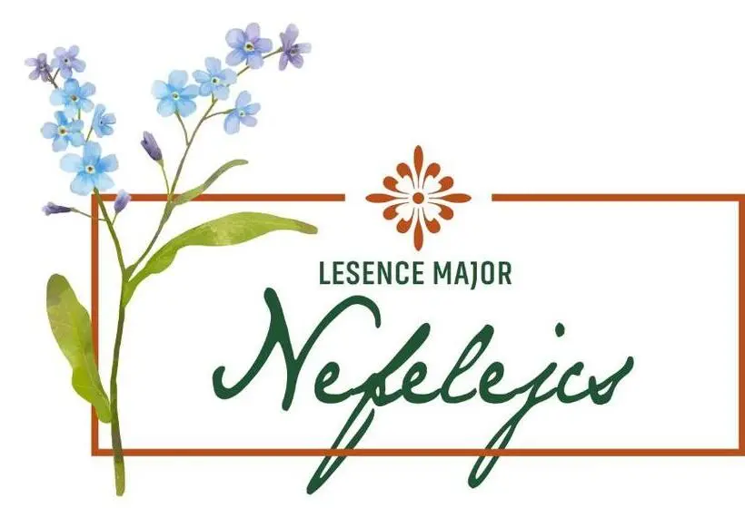 キングサイズベッドのスタンダードルーム, Lesence Major