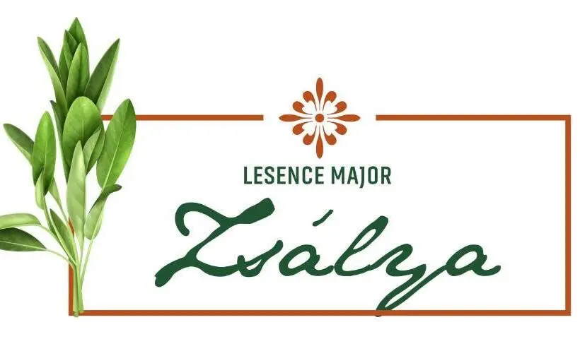 スタンダードルーム, Lesence Major