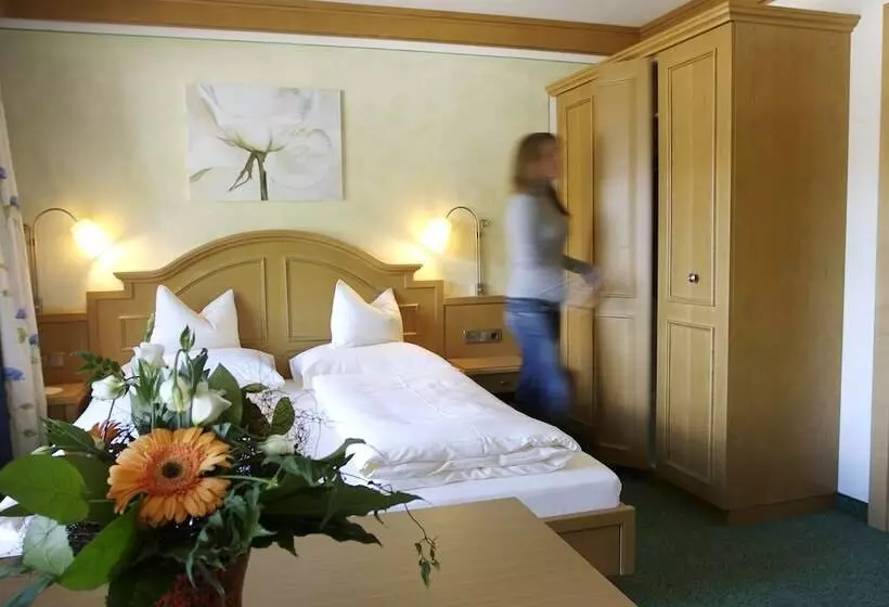 Standard-huone, Alpinhotel Berghaus Spa