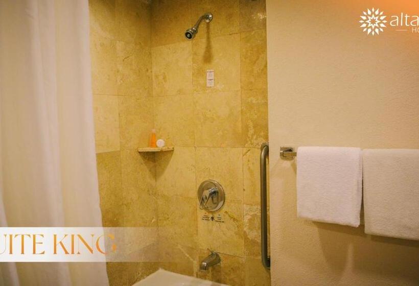 带大床的标准间, Altavista