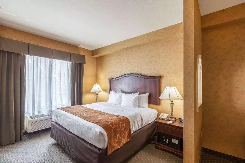 キングサイズベッドのスイートルーム, Comfort Suites Alamo Riverwalk