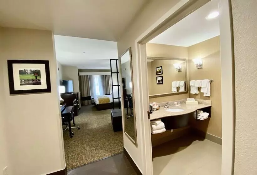 スイート, Comfort Suites Byron Warner Robins